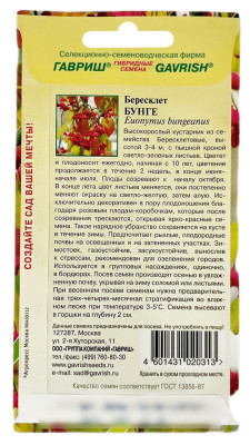 Бересклет БУНГЕ ГАВРИШ описание