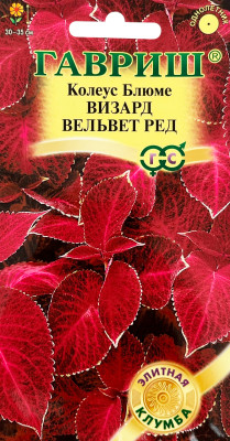 Колеус Визард Вельвет ред 4шт Элитная клумба