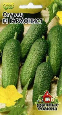 Огурец Гармонист F1 10 шт. Уд.с.корнишон Огурец Гармонист F1 10 шт. Уд.с.корнишон