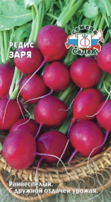 Редис Заря Редис Заря