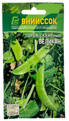 Горох сахарный ВЕЛИКАН ВНИИССОК