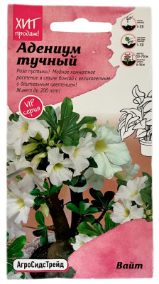 Адениум тучный ВАЙТ АГРОСИДСТРЕЙД