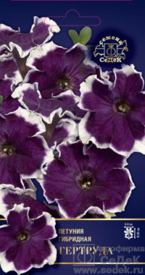 Петуния Гертруда F1 (многоцветковая)