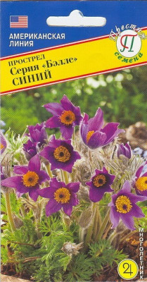 Прострел Беллс Смесь 5шт