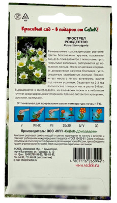 Прострел рождество СеДеК описание