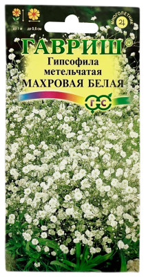 Гипсофила метельчатая МАХРОВАЯ БЕЛАЯ ГАВРИШ