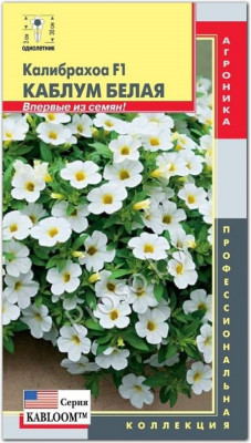 Калибрахоа Каблум Белая 3др