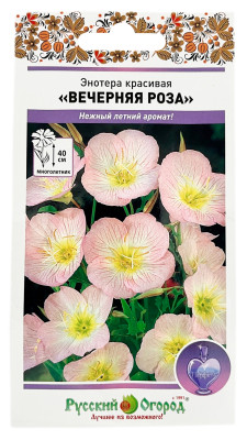 Энотера красивая ВЕЧЕРНЯЯ РОЗА Русский Огород