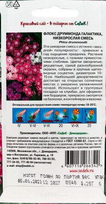 Флокс Друммонда Галактика (звездчатая смесь)