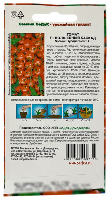 Томат F1 ВОЛШЕБНЫЙ КАСКАД СеДеК описание