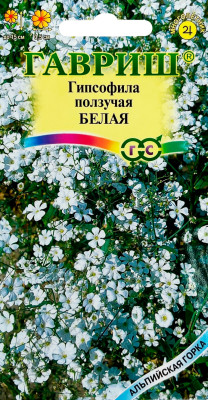 Гипсофила ползучая, Белая 0,05г