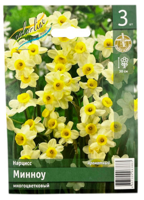Нарцисс МИННОУ многоцветковый