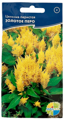 Целозия перистая ЗОЛОТОЕ ПЕРО АКВАРЕЛЬ