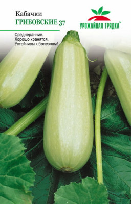 Кабачок Грибовский 37 УГ
