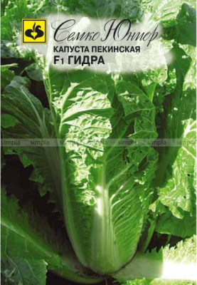 Капуста пекинская Гидра F1