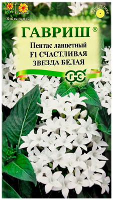 Пентас ланцетный F1 СЧАСТЛИВАЯ ЗВЕЗДА БЕЛАЯ ГАВРИШ