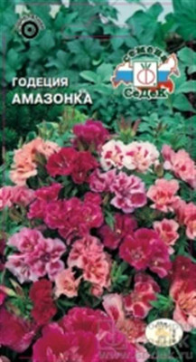 Годеция Амазонка