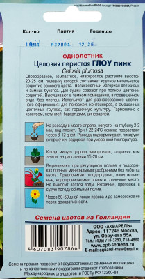 Целозия Глоу пинк