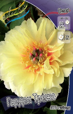 Пион Гарден Треже ИТО-гибрид (1шт) 1411