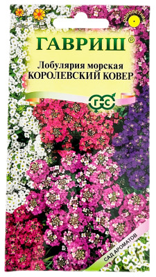 Лобулярия морская КОРОЛЕВСКИЙ КОВЕР ГАВРИШ