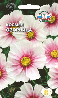 Космея Озорница