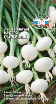 Лук Рыночный (на перо)