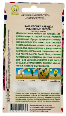 Камнеломка арендса РУБИНОВЫЕ ЗВЁЗДЫ описание