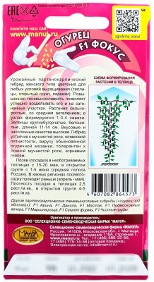 Огурец Фокус F1 описание