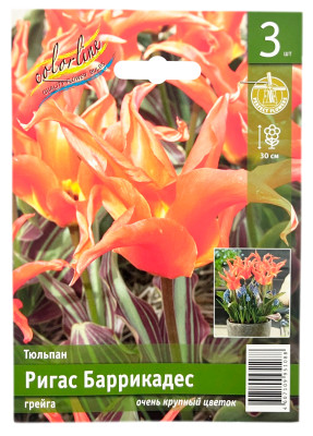 XNCnn_aBsL9BwKKTOGNTUQ54KaViPE-hGbqIZ0MLOOw8cGg8crE4aMfGmeDxvWLMZd25BpxJiUEktpwFY-g0HOVc