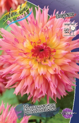 Георгин Ненекази (1шт) 4002