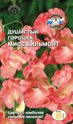 Душистый Горошек Мисс Вильмонт
