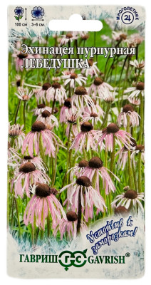 Эхинацея пурпурная ЛЕБЕДУШКА ГАВРИШ