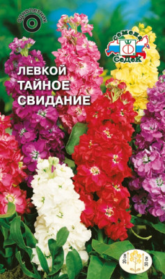 Левкой Тайное свидание ( маттиола, карликовая смесь) (Евро, 0,1; 0485)