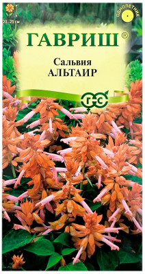 Сальвия АЛЬТАИР ГАВРИШ
