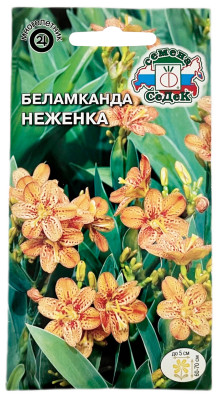 Беламканда НЕЖЕНКА СеДеК Беламканда НЕЖЕНКА СеДеК