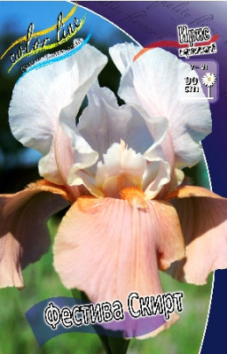 Ирис Германский Фестива Скирт (1шт) 4112