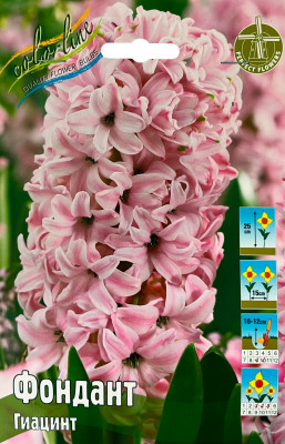 Гиацинт Фондант (1шт)