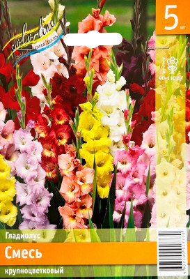 Гладиолус Смесь крупноцветковых сортов (5шт)