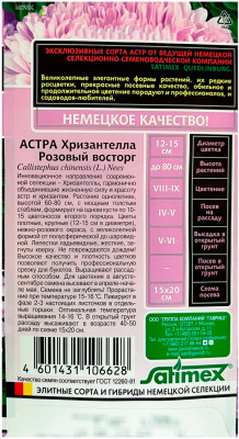 Астра Хризантелла РОЗОВЫЙ ВОСТОРГ ГАВРИШ описание