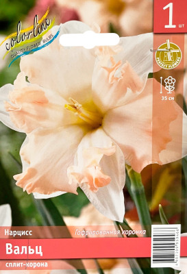Нарцисс Вальц сплит-корона