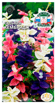 Сальвия КЕМБРИДЖ (СМЕСЬ) СеДеК
