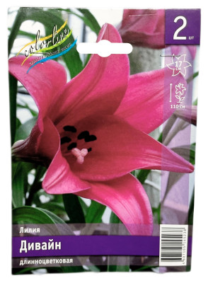 Лилия ДИВАЙН длинноцветковая
