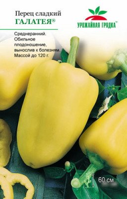 Перец Галатея УГ Перец Галатея УГ