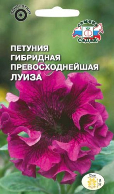 Петуния Луиза темно-пурпурная махровая