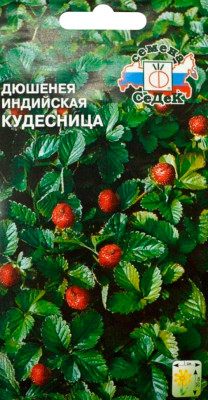 Земляника Дюшинея Кудесница (декоративн.)