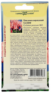 Цикламен персидский ХАЛИФ ГАВРИШ описание