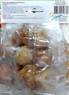 Тюльпан Флэминг Проминенс (1шт)