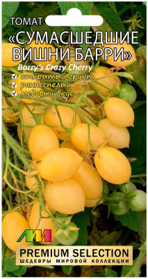 Томат Сумасшедшие вишни Барри