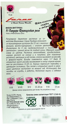 Виола Пандора французская роза 5 шт серия Фарао