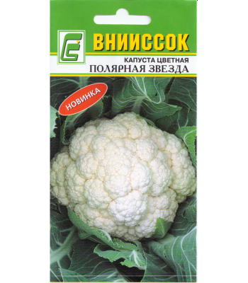 Капуста цветная Полярная звезда